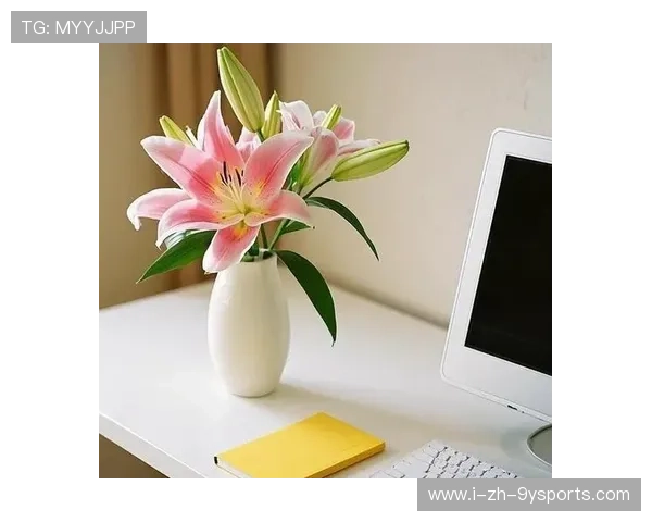 伯恩茅斯擅长制造意外——把日常变成惊喜的生活美学